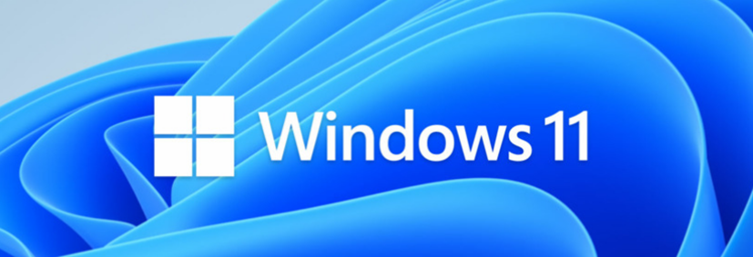 Windows 11 Logo